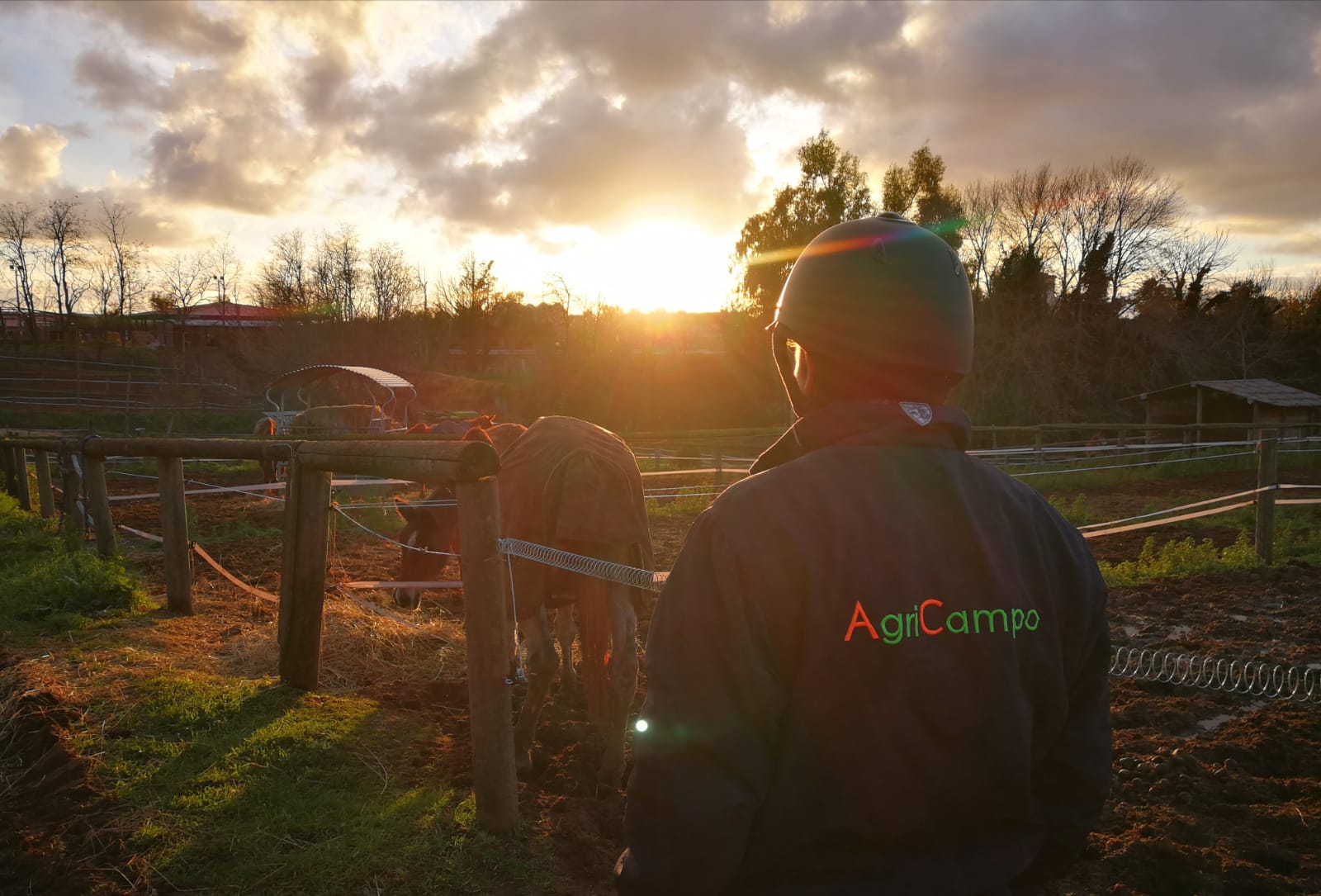 Ippoterapia Roma Agricampo